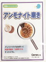 体験キットシリーズ (アンモナイト磨き) 内部断面の観察 古生代 シルル紀