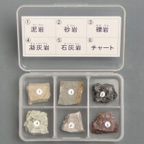 東京サイエンス　岩石標本 堆積岩 6種セット 泥岩 砂岩 れき岩 凝灰岩 石灰岩 チャート