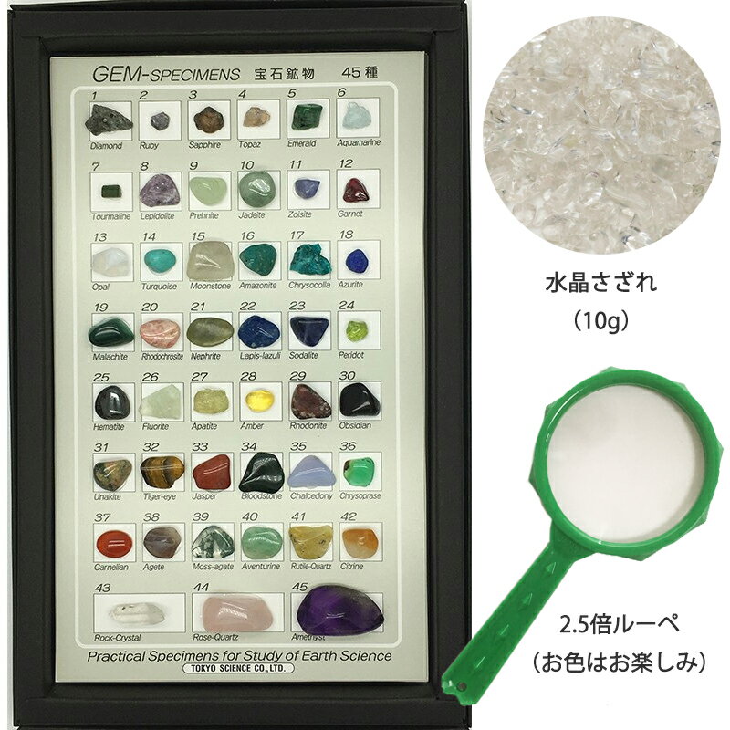 東京サイエンス 宝石鉱物 標本 45種 ルーペ・水晶付 ダイヤ ガーネット アメジスト サファイア エメラルド ダイアモンド 自由研究