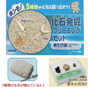 化石発掘クリーニングセット パートIII/新生代編 キット 標本ケース付き サメの歯 琥珀 コハク 巻貝化石