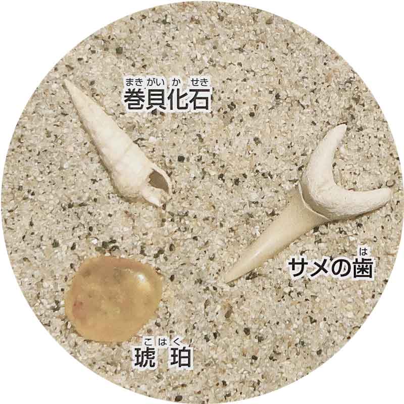 化石発掘クリーニングセット パートIII/新生...の紹介画像2