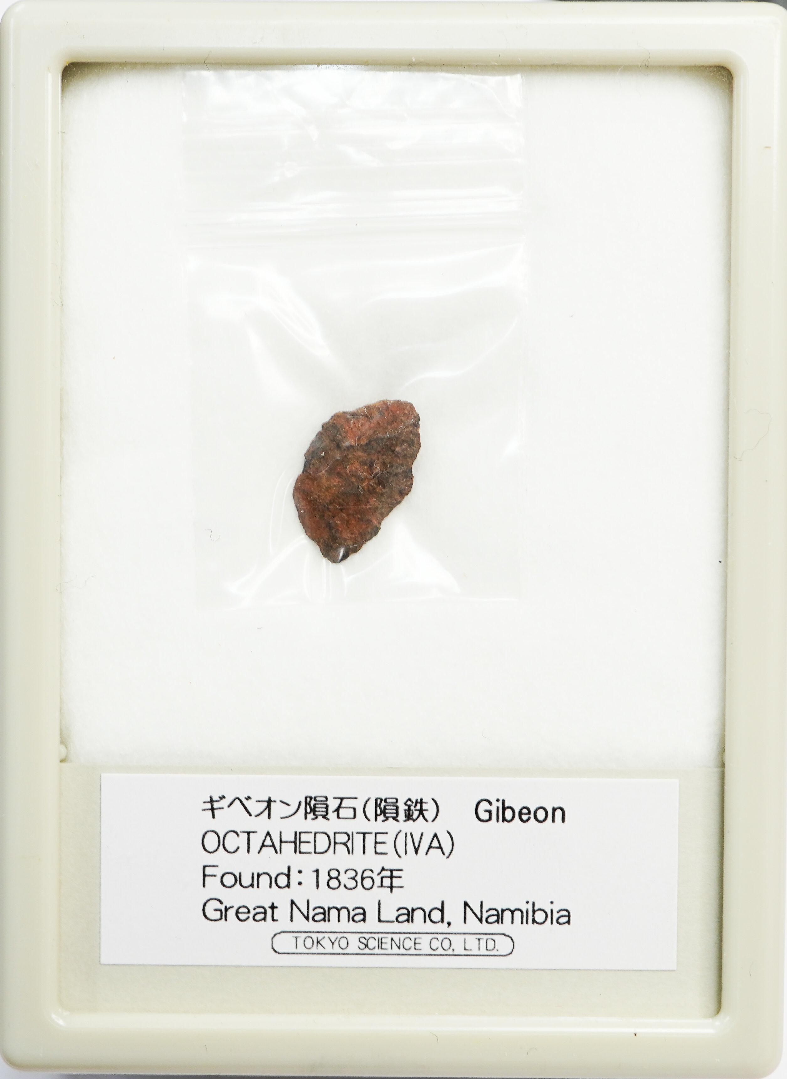 ���٥������ 1836ǯ �ʥߥӥ� Gibeon OCTAHEDRITE(IVA) Great Nama Land, Nambia �����������