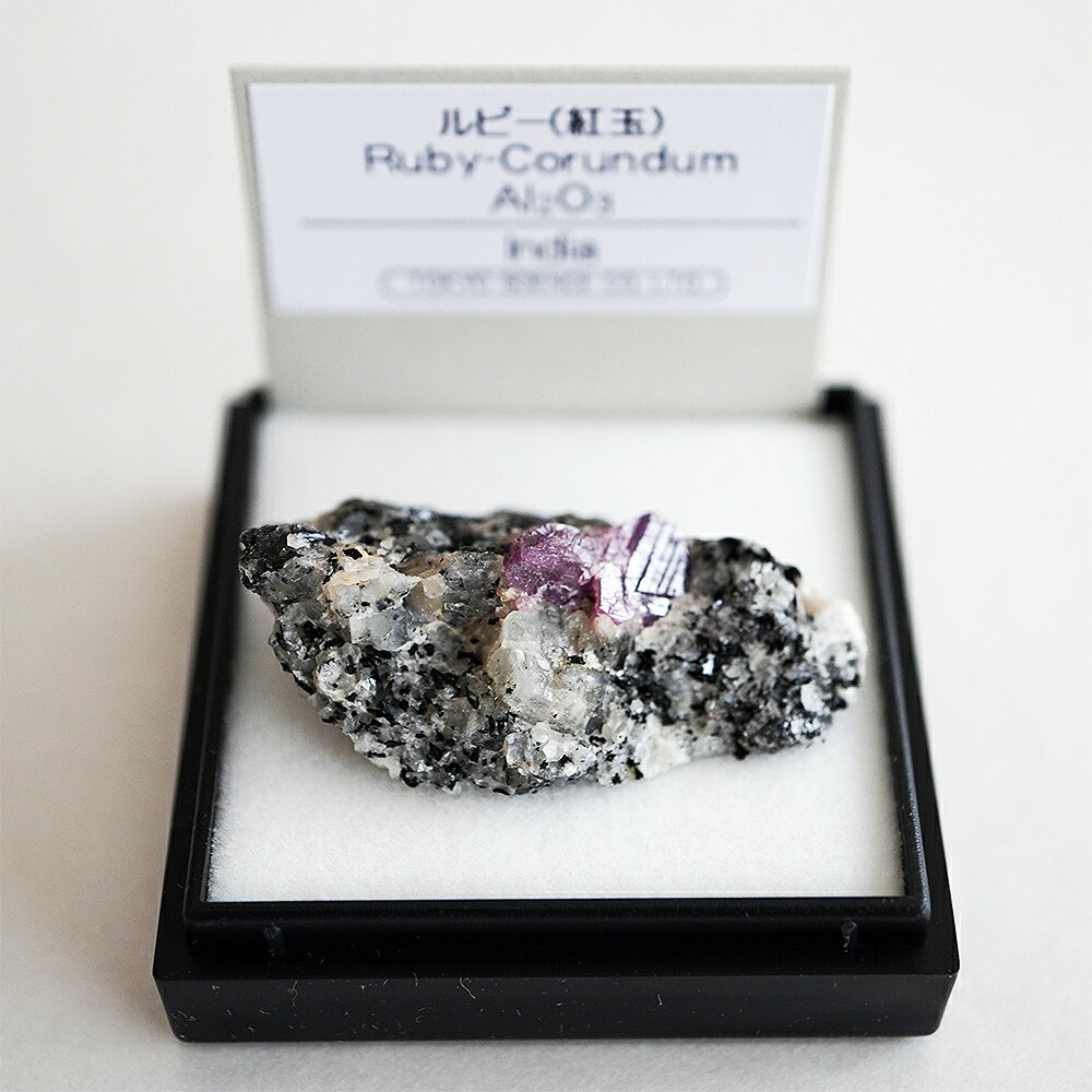 ルビー （インド） 鉱物 標本 東京サイエンス ミニ鉱物標本 ケース入り 紅...