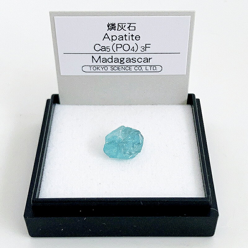燐灰石 （マダガスカル） 鉱物 標本 東京サイエンス ミニ鉱物標本 ケース入り