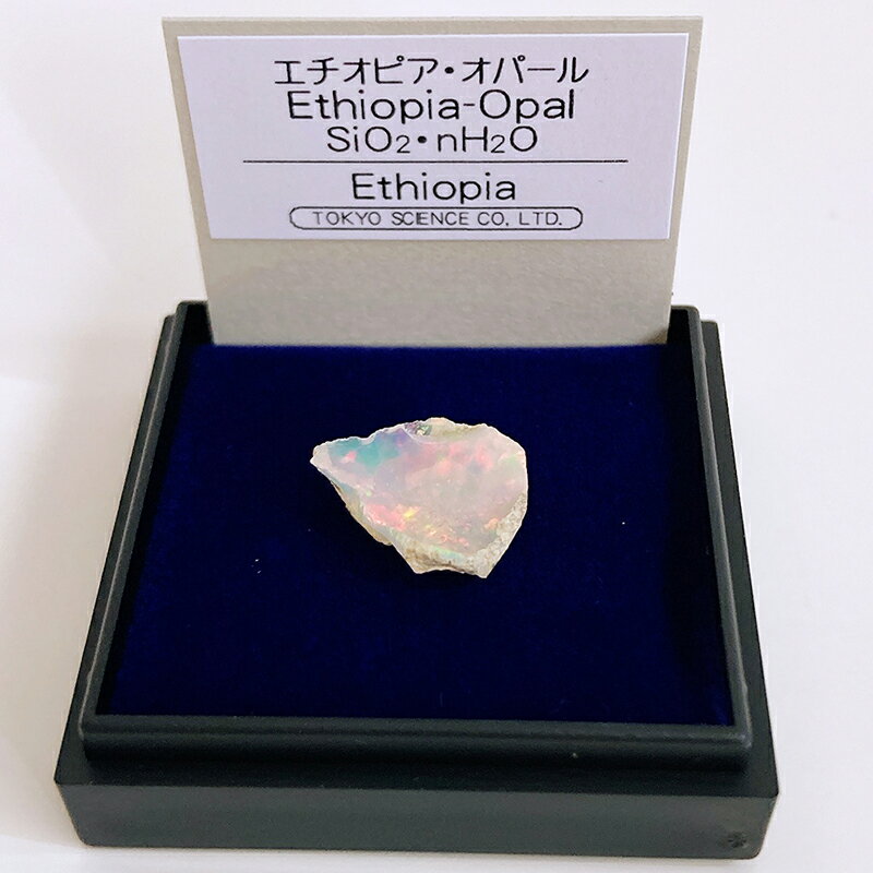 【2時～P2倍】エチオピアオパール（エチオピア） 鉱物 標本 東京サイエンス ミニ鉱物標本 ケース入り