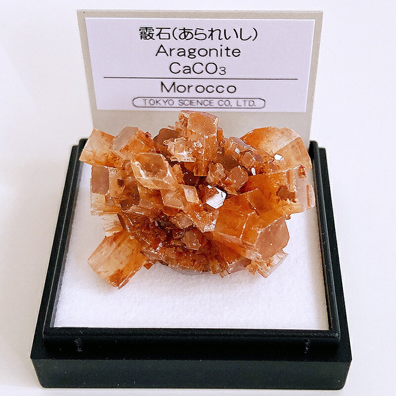 あられ石 （モロッコ） 鉱物 標本 東京サイエンス ミニ鉱物標本 ケース入り