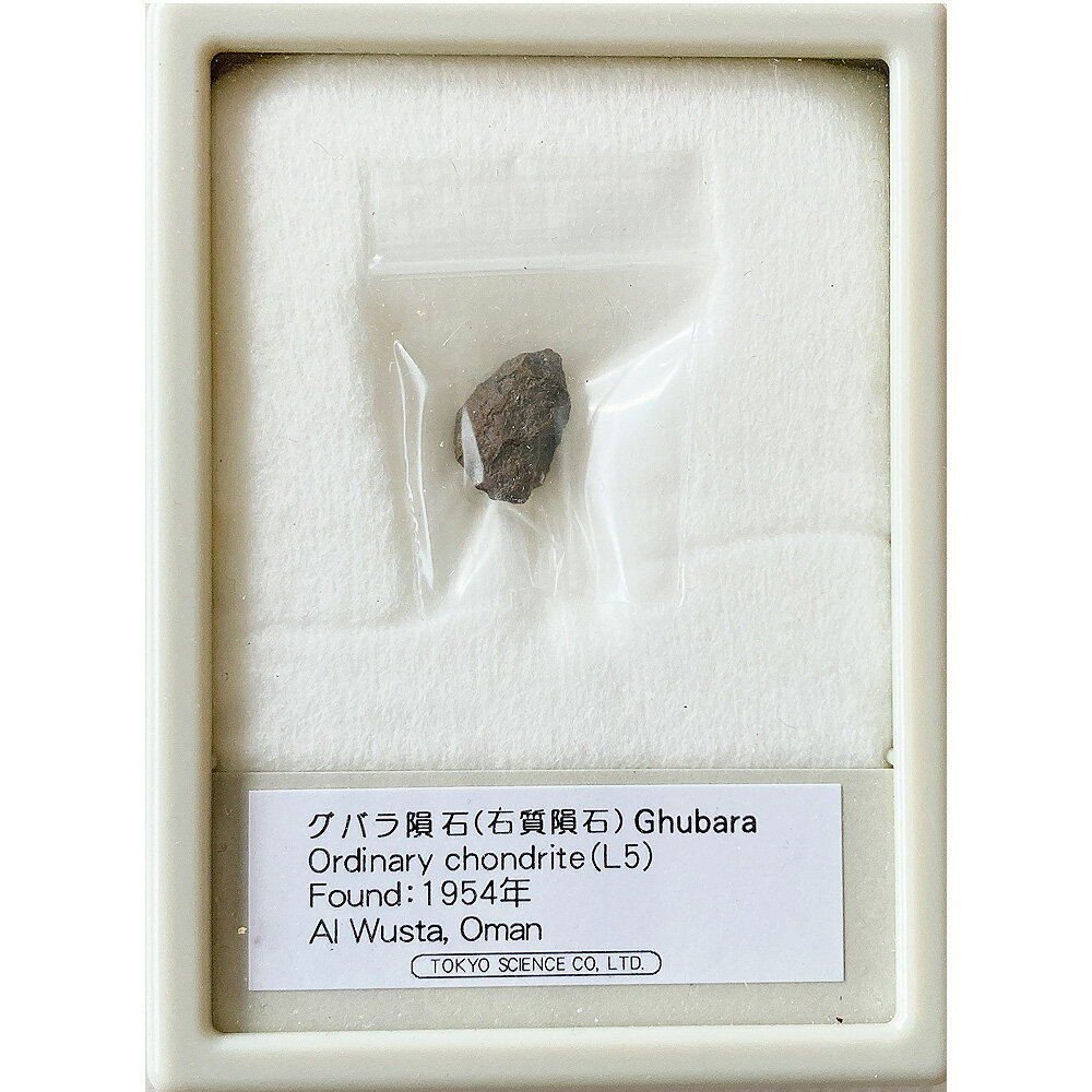 グバラ隕石 Found:1954年 東京サイエンス