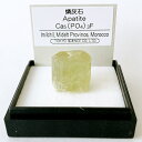 燐灰石 (モロッコ) 鉱物 標本 東京サイエンス ミニ鉱物標本 ケース入り