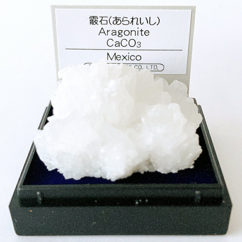 あられ石 霰石 （メキシコ） 鉱物 標本 東京サイエンス ミニ鉱物標本 ケース入り