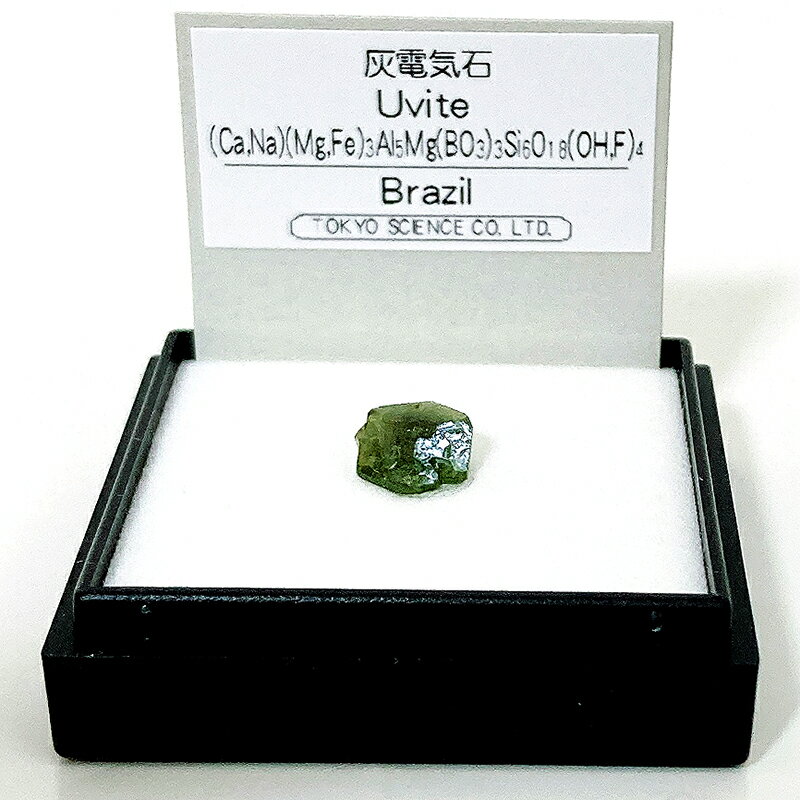 灰電気石（ブラジル） 鉱物 標本 東京サイエンス ミニ鉱物標本 ケース入り