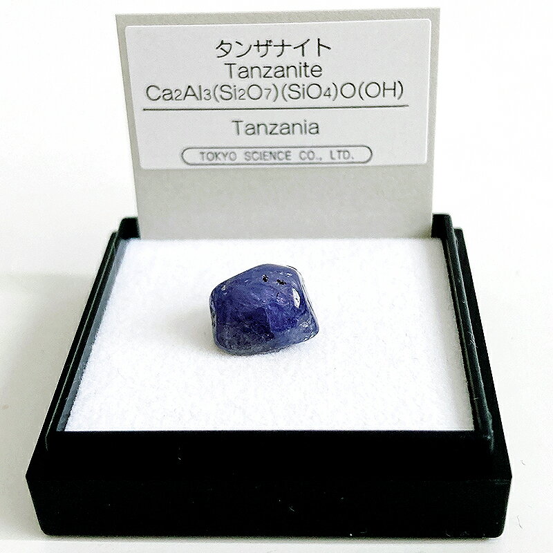 タンザナイト （タンザニア） 鉱物 標本 東京サイエンス ミニ鉱物標本 ケ...