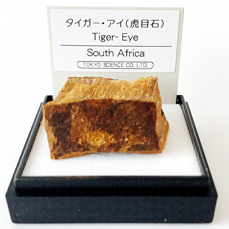 タイガーアイ （南アフリカ） 鉱物 標本 東京サイエンス ミニ鉱物標本 ケース入り