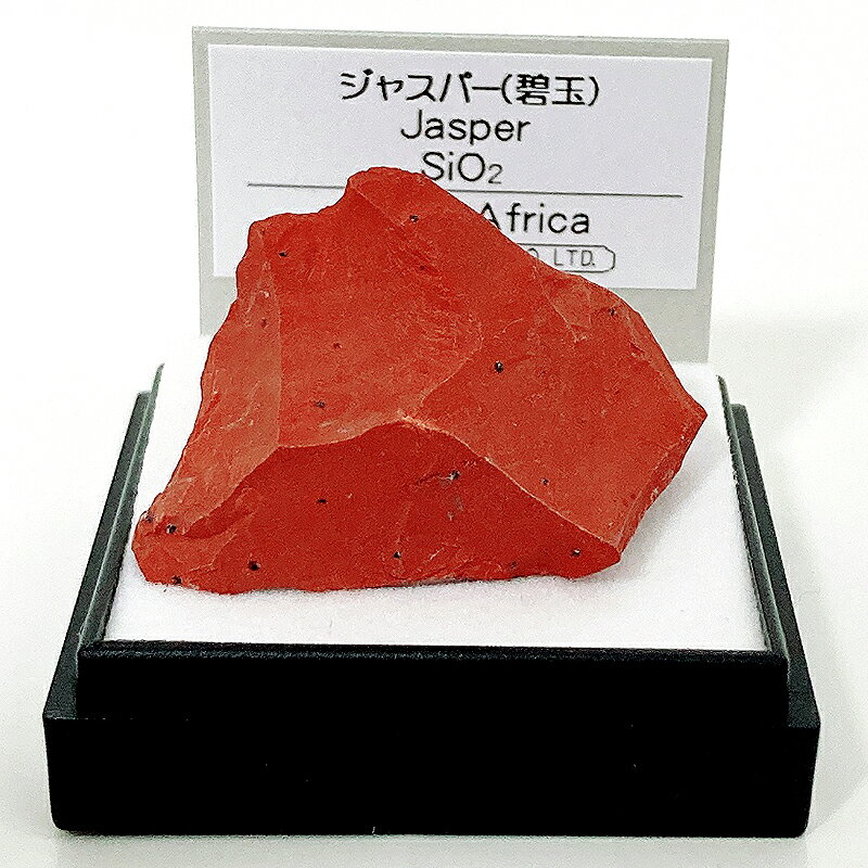 ジャスパー（南アフリカ） 鉱物 標本 東京サイエンス ミニ鉱物標本 ケース入り