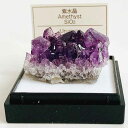 P5倍【クーポン】 紫水晶 （ウルグアイ） 鉱物 標本 東京サイエンス ミニ鉱物標本 ケース入り