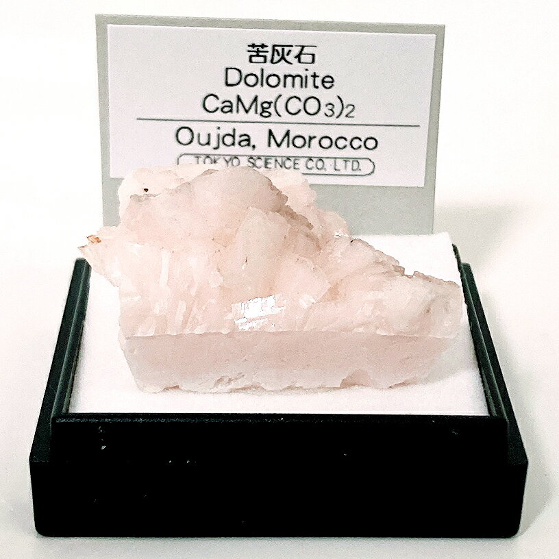 苦灰石（モロッコ） 鉱物 標本 東京サイエンス ミニ鉱物標本 ケース入り