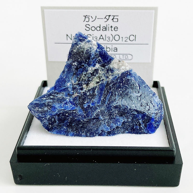 方ソーダ石（ナミビア） 鉱物 標本 東京サイエンス ミニ鉱物標本 ケース入り