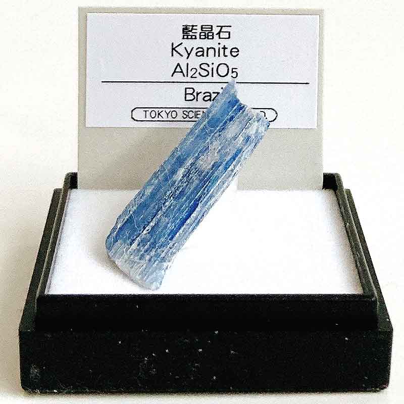 藍晶石 (ブラジル) らんしょうせき 鉱物 標本 東京サイエンス ミニ鉱物標本 ケース入り
