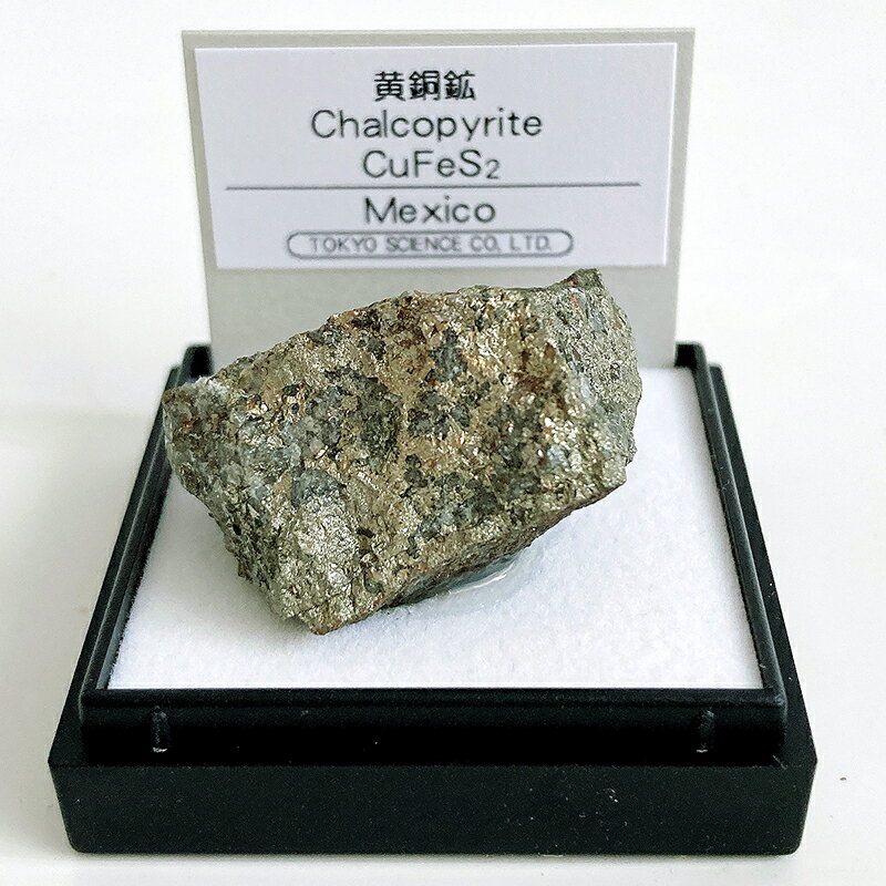 黄銅鉱 (メキシコ) 鉱物 標本 東京サイエンス ミニ鉱物標本 ケース入り