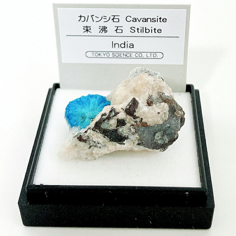 カバンシ石 東沸石（インド） 鉱物 標本 東京サイエンス ミニ鉱物標本 ケース入り