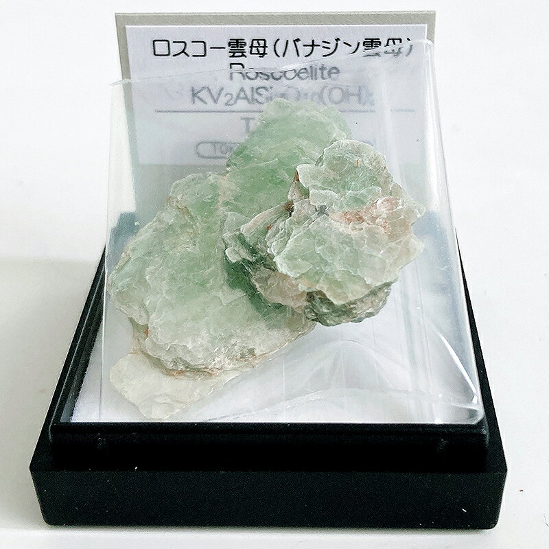 ロスコ—雲母（タンザニア） 鉱物 標本 東京サイエンス ミニ鉱物標本 ケー...