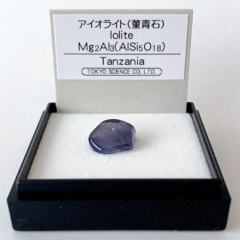 アイオライト（タンザニア） 鉱物 標本 東京サイエンス ミニ鉱物標本 ケー...
