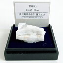 金鉱石 (鹿児島県伊佐市) 鉱物 標本 東京サイエンス ミニ鉱物標本 ケース入り