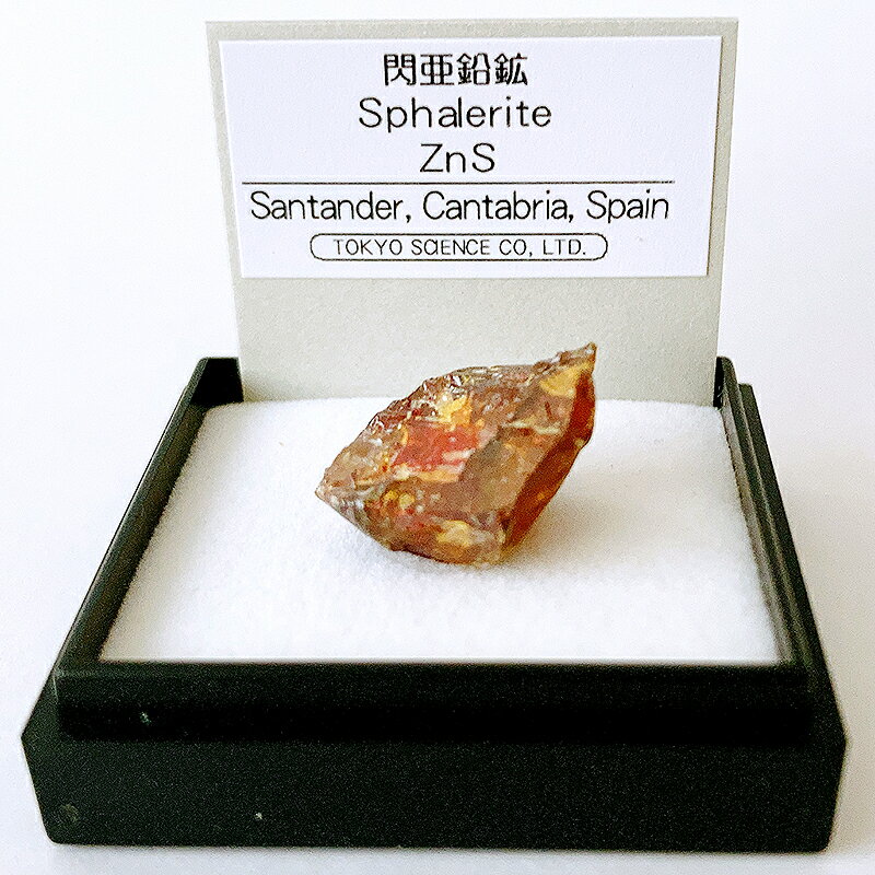 閃亜鉛鉱 （スペイン） 鉱物 標本 東京サイエンス ミニ鉱物標本 ケース入り