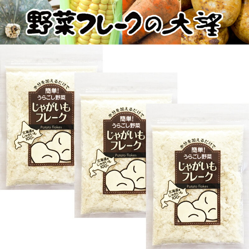 北海道産100% じゃがいもフレーク40g 3袋セット 無添加・無着色 水分を加えるだけで簡単 うらごし野菜 送料無料