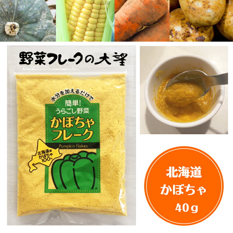 【スーパーセールポイント5倍】かぼちゃフレーク 離乳食ベビーフード裏ごし野菜フレーク 40g Sサイズ 北海道大望 乾燥ベビーフードのサムネイル