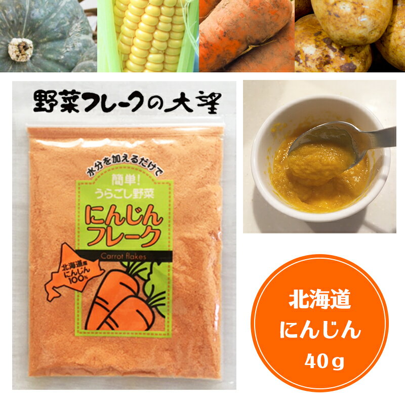 【5日限定P5倍】にんじんフレーク 離乳食ベビーフード裏ごし野菜フレーク 40g Sサイズ 北海道大望 乾燥ベビーフード