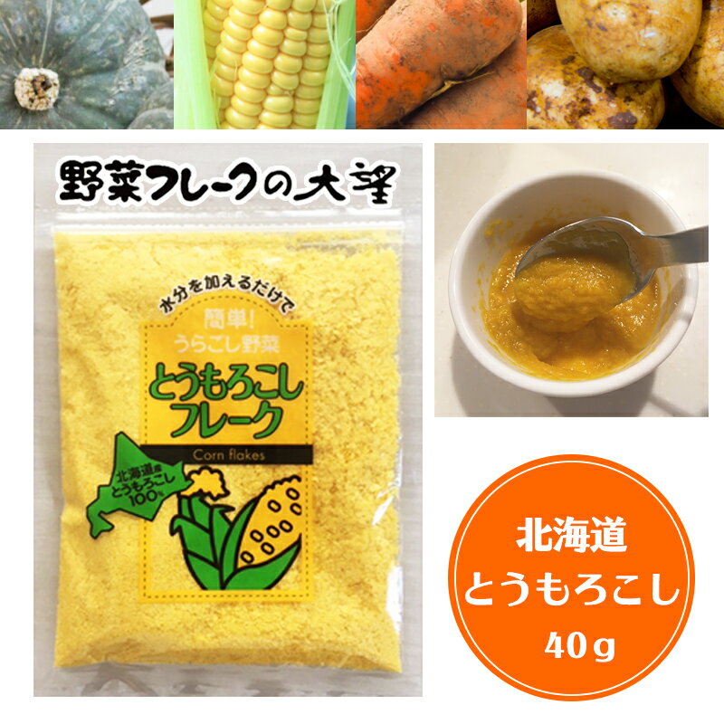 【6日P2倍】とうもろこしフレーク 離乳食ベビーフード裏ごし野菜フレーク 40g Sサイズ 北海道大望 乾燥ベビーフード