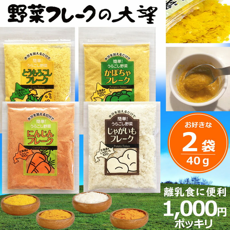 楽天キッズマーケット【2時～P2倍】1000円ポッキリ お試し 離乳食 北海道 大望 野菜フレーク 40g 選べる2袋セット