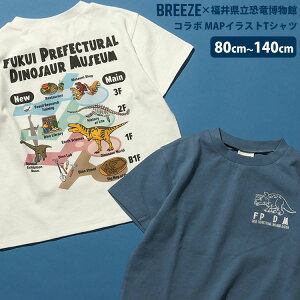 2025夏 BREEZE【福井県立恐竜博物館コラボ MAPイラストTシャツ】 半袖Tシャツ 恐竜 福井県立恐竜博物館 MAP ダイナソー FPDM 恐竜博物館マップイラスト 80cm/90cm/100cm/110cm/120cm/130cm/140cm/ 子供服 トップス ジュニア キッズ ブリーズ