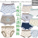 4枚以上送料無料 Ampersand 男児ボクサー・ブリーフパンツ 選べる10種類 キッズインナー おしゃれパンツ 男の子 下着 肌着 キッズブリーフ キッズボクサー 恐竜柄 動物柄 くま柄 宇宙柄100cm/110cm/120cm/130cm/140cm//アンパサンド 涼しいパンツ