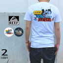 [t REEF TVc [t XeCg eB[ REEF STATE TEE RF0A3ST1 zCg lCr[ mWAnyFNOIz