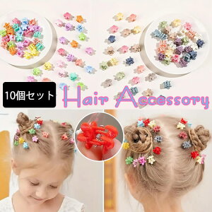 【メール便送料無料】即納 花モチーフヘアクリップ10個セット ヘアアクセサリー 女の子 レディース ガールズ キッズ kids girls ドレス カジュアル フォーマル ヘアアレンジ ヘッドドレス ワンピース ドレス パーティ グログラン 結婚式 髪飾り 髪留め fh 《返品交換不可》