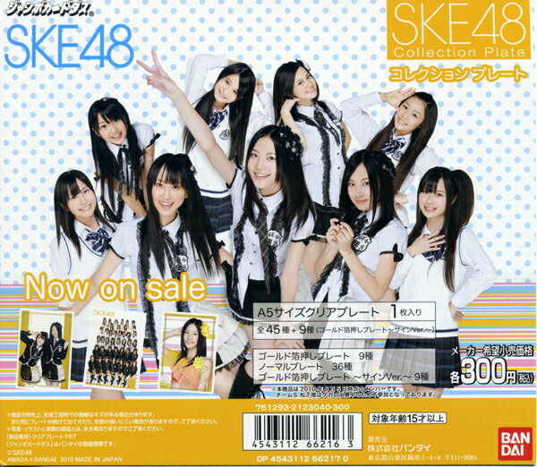 【単品】ジャンボカードダス SKE48 コレクションプレート　ゴールド箔押しプレート