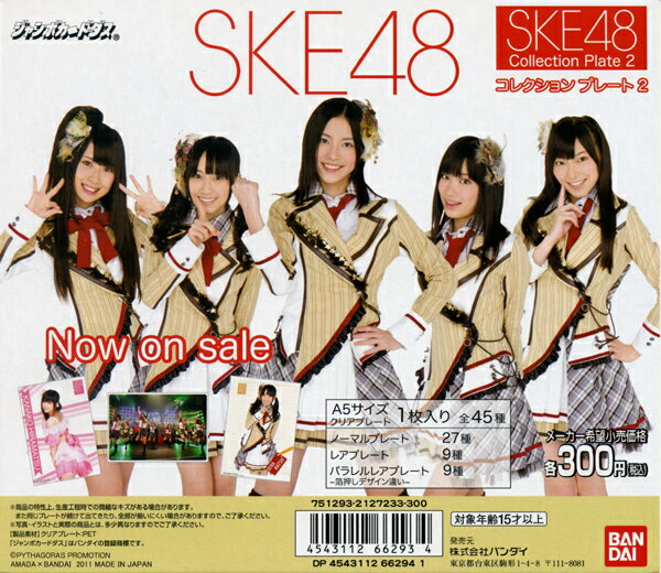 【単品】ジャンボカードダス SKE48 コレクションプレート2　ノーマルプレート其の一