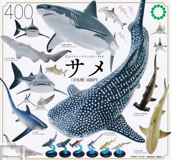 【コンプリート】ネイチャーテクニカラー400 サメ ★全6種セットのサムネイル