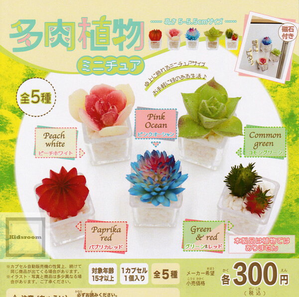 【コンプリート】多肉植物ミニチュア ★全5種セットのサムネイル
