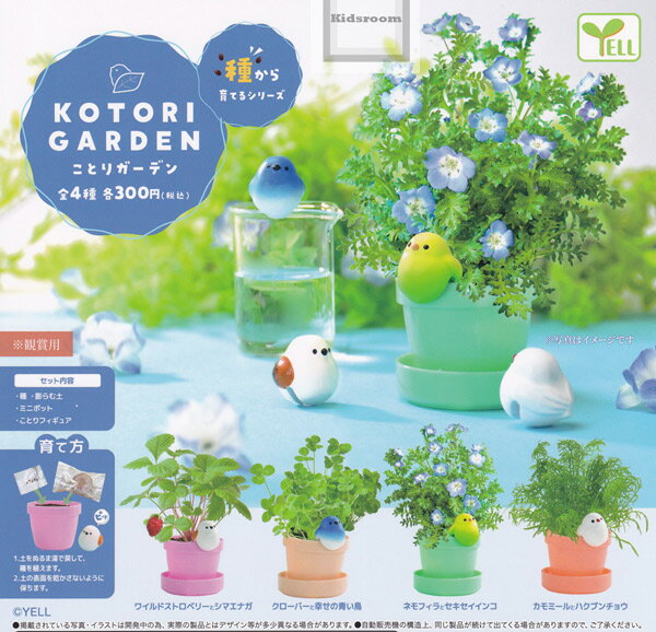 【コンプリート】種から育てるシリーズ ことりガーデン ★全4種セットのサムネイル
