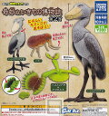 【単品】あそべる生物フィギュアシリーズ 奇妙ないきもの博物誌 第2頁