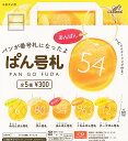 【コンプリート】ぱん号札 ★全5種セット