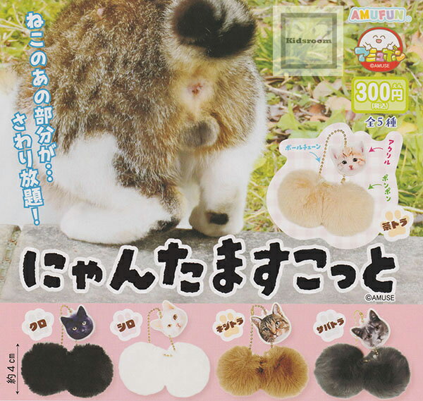 【コンプリート】にゃんたますこっと ★全5種セットのサムネイル