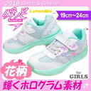 瞬足 女の子 2018 春夏 キッズ ジュニア スニーカー ...