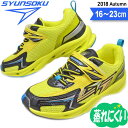 瞬足 男の子 キッズ ジュニア スニーカー 2018 秋冬 ...