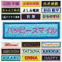 ネームワッペン カブトムシ 2枚入 (100円ショップ 100円均一 100均一 100均)