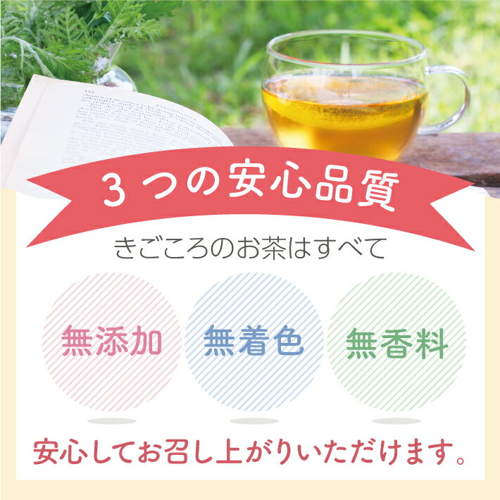 きごころ 和紅茶 フルーツティー みかん 3個入り 送料無料 メール便 ポスト投函紅茶 ティーバッグ 国産 お茶 ティー 三角 内祝い 無添加 おしゃれ プレゼント 紅茶専門店 リラックス ご挨拶 セット 人気 アイス ギフト 食べ物以外 ストレート 無糖 お返し 個包装 2024 3