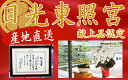 【楽天1位/最短翌日配送】ミディ胡蝶蘭 2本立ち 領収書発行可能 産地直送 ラッピング・立札無料 育て方パンフレット付 TV紹介 多数受賞 コチョウラン 鉢花 開店祝い お祝い 花 誕生日 還暦 米寿 開院 開業 移転 当選 就任 昇進 退職 お供え 御供 フラワーギフト