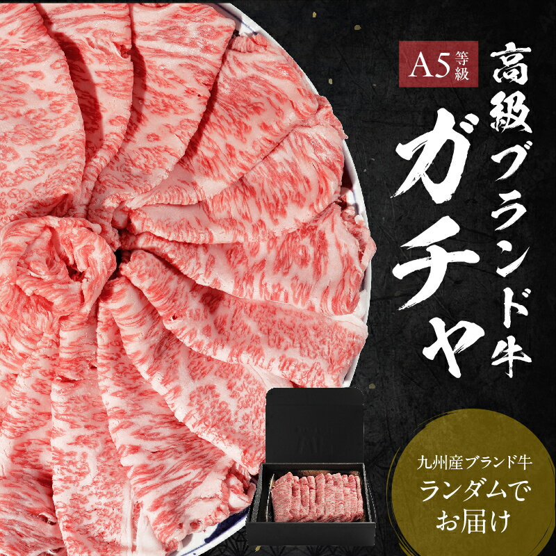 【39％OFFクーポン有！～7/26まで】ブランド牛ガチャ 肩ローススライス 500g すき焼き しゃぶしゃぶ 冷凍便 すきやき プレゼント 贈答品 ブランド牛 ギフト お肉 御祝い お中元 すき焼き肉 霜降り 国産和牛 黒毛和牛 お中元のサムネイル